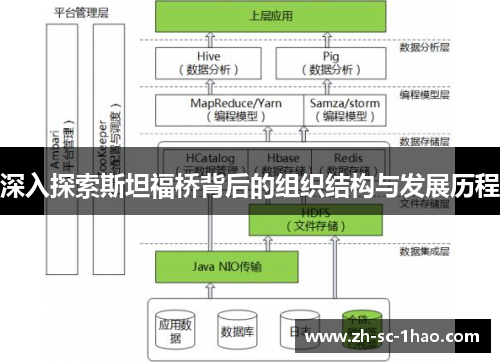 深入探索斯坦福桥背后的组织结构与发展历程
